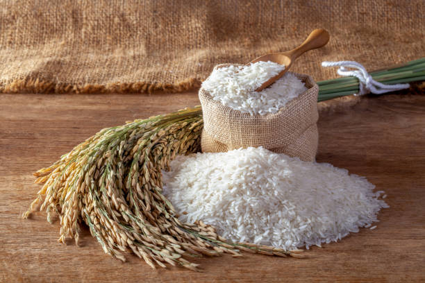 Sugar Products